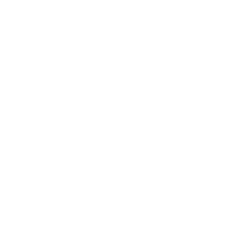HOTSOX, Novelty, Nature & Travel, Flowers & Foliage