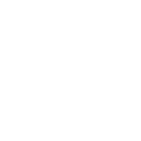 HOTSOX, Novelty, Nature & Travel, Outer Space