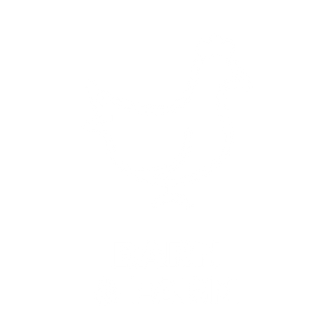 HOTSOX, Novelty, Animals, Barn & Farm