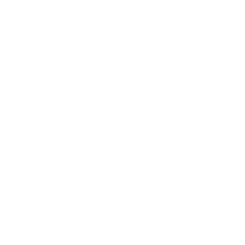 HOTSOX, Novelty, Sports, Golf