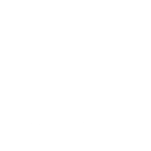 HOTSOX, Novelty, Sports, Pickleball