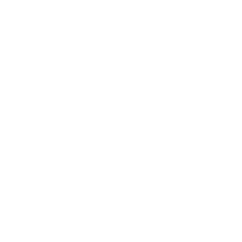 HOTSOX, Novelty, Sports, Football