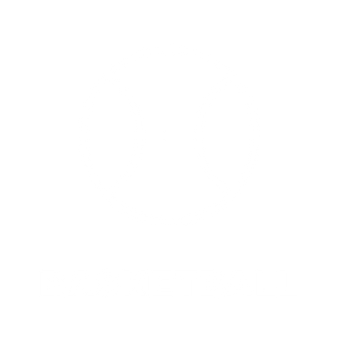 HOTSOX, Novelty, Sports, Basketball