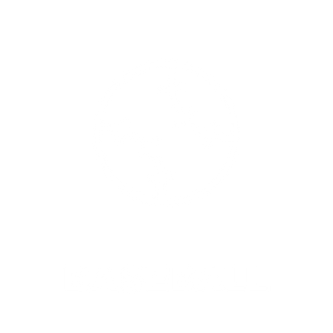HOTSOX, Novelty, Sports, Baseball
