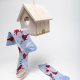 Pair of socks with red bird design hanging from a wooden birdhouse on a white background thumbnail