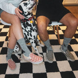 A person and a Dalmatian dog sitting on chairs indoors, wearing gray patterned crew socks and slip-on shoes. The person on the left wears red-and-white checkered shoes and the person on the right wears black-and-white checkered shoes.