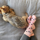 Woman wearing pink socks with a sushi pattern design and a small dog next to her feet. thumbnail