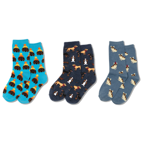 HOTSOX kids sock three pair pack featuring various patterns of different dogs, including dachshunds, basset hounds, bedlington terriers, English bulldogs and rottweilers.